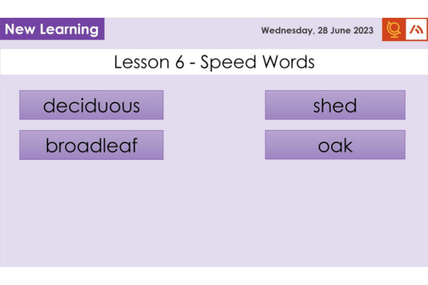 Teaching The EAL SEND And LPA Nurture Groups